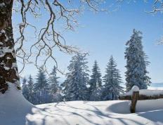 麻将糊了-网球大满贯赛事(shì)精彩对决