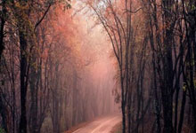 麻将胡了-乒协公佈(bù)十(shí)五(wǔ)运乒乓(pāng)球決(jué)赛细則(zé)十(shí)五(wǔ)运乒乓(pāng)球決(jué)赛阶段强制檢(jiǎn)测球拍