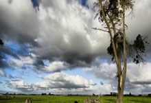 麻将胡了免费旋转-红魔为何成为电競(jìng)赛事首選(xuǎn)用机？