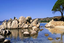 麻将糊了-Lululemon與(yǔ)美(měi)国国家橄榄球联盟NFL达成合作 将推出(chū)联名(míng)服装系列