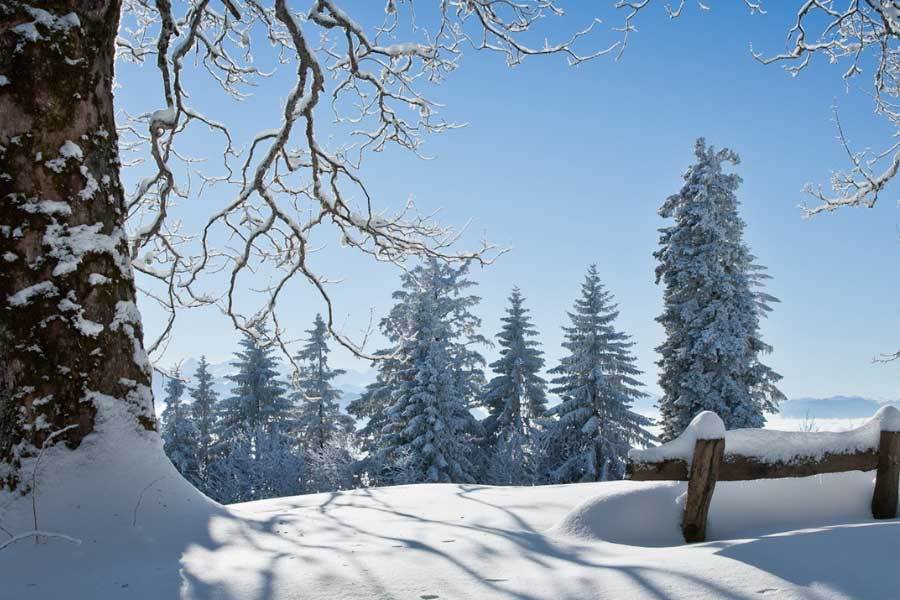 麻将糊了-网球大满贯赛事(shì)精彩对决