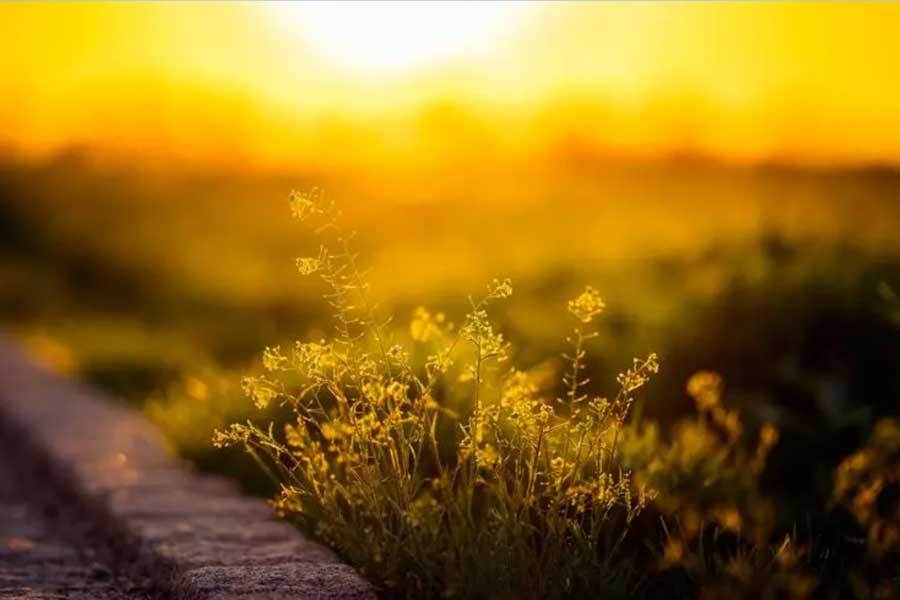 麻将糊了-网球大满贯赛事(shì)精彩对决