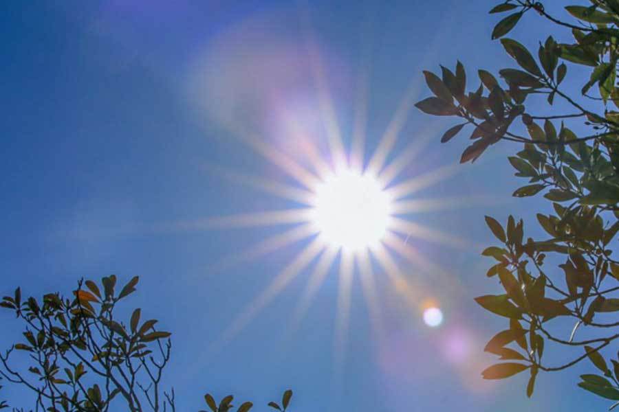 麻将糊了-英雄联盟四川总决赛全球顶尖战队对决